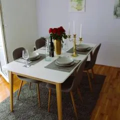 Apartments Vinko