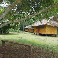 Amazon Lodge Harpy
