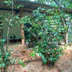 Cinnamon Forest Nature Rooms