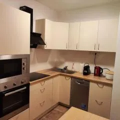 Rodinný apartmán Frymburk u aquaparku