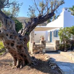 Elitas Lodge: Cosy Cycladic home outside Paroikia