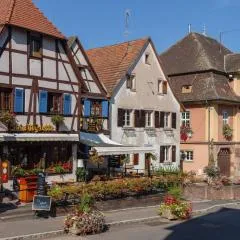 Stunning Apartment in heart of Dambach La Ville