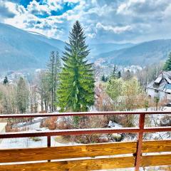 Stone House Sinaia