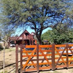 La Cabaña de los Osos.