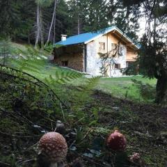 Ferienhaus in Pieve Di Bono mit Grill, Garten und Sauna