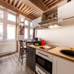 Ideal studio in the heart of Lyon AIL