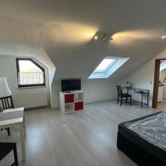 Schönes Apartment im Dachgeschoss in Mannheim Nahe Rheinauer See