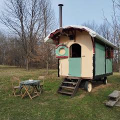 Shepherd's hut in nature