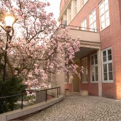 Rooms in Historic Heart of Wroclaw