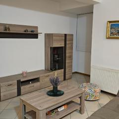 Apartament Ring