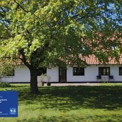 Fuglsang Bed & Breakfast