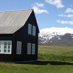 Cottage in malerischer Umgebung von Island auf einer grünen Wiese am Ende des Horizonts