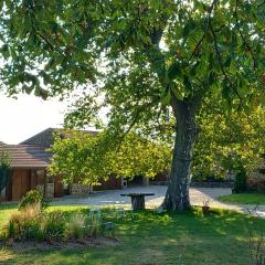 Le Clos de Ceintres