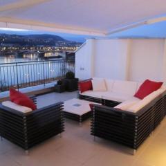 Penthouse mit Donaublick