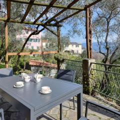 Lovely Home In Camogli With Wifi