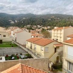 Appartement Amélie-les-Bains-Palalda, 2 personnes - FR-1-703-174