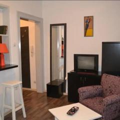 BelgradeCity center-Lekic apart 1