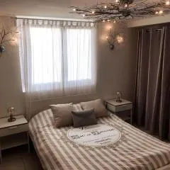 T1 Cosy