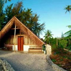 Pongwe Eco Lodge and kitten paradise.