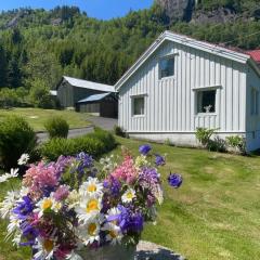 Koselig feriehus sentralt i Sirdal