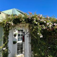 Medalin Harmony Nest