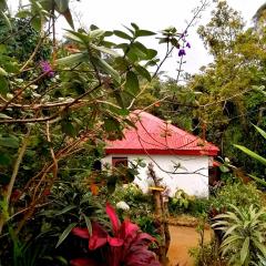 The Jungle Life Homestay Thangamalay Sanctuary Haputale by Gisela Sivam