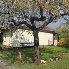 Family idyll Modern retreat