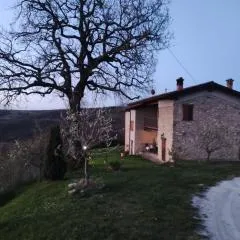 B&B del Fernè
