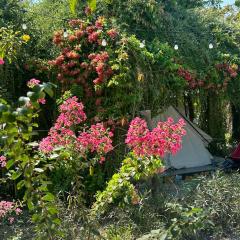 Suối Đá F-Glamping