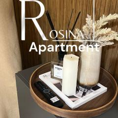 Rosina apartment Herculaneum