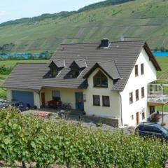 Moderne helle Ferienwohnung mit Terrasse und Moselblick