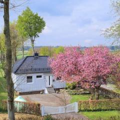 Cherry Blossom Modern Retreat