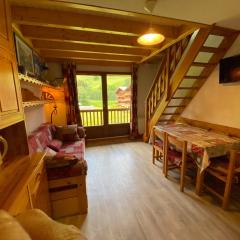 A proximité des pistes, 5 personnes, 1 mezzanine, 1 coin montagne - PL1B