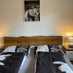 Alpakablick Bad Zwischenahn