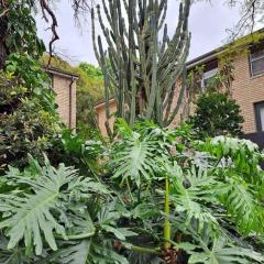 Lovely 1bed apartment Sydney inner west w parking