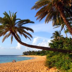 Turtle Bay Escape Golf course front, by the beach