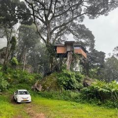 Tree House Munnar