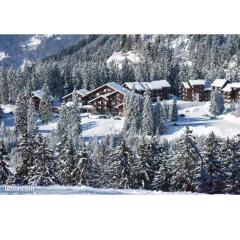 Studio au pied des pistes avec vue sur la montagne