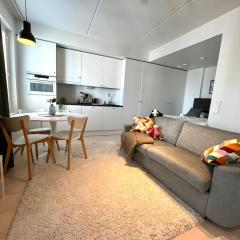 Airport brand new 1BR apartment fully equipped