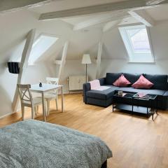 Lovely 1 room Apartment Aarhus C