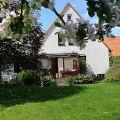 Freistehendes Ferienhaus in Adendorf mit Terrasse, Grill und Garten - b48664