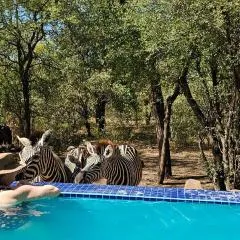 The Wild Bunch Safari House