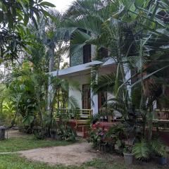 NSK Green Homestay