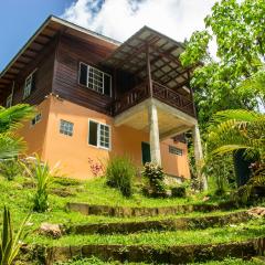 Off-grid Zen Forest Den