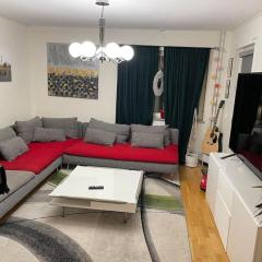 Modern full-furnished apartment