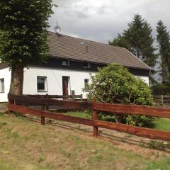 Ferienhaus in Kalterherberg mit Terrasse, Grill und Garten - b48697