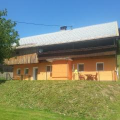 Ferienhaus Johanna in Dreulach