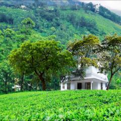 CJ Cottage Munnar - Near Attukal Waterfalls, Athukad Tea Estate (CJ Hotels & Resorts)