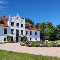 Historic Apartment in Gerdshagen with Garden