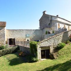 Castle 12th century with private pool close to Agen